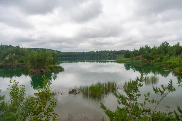 Scenery Lake Forest — стоковое фото