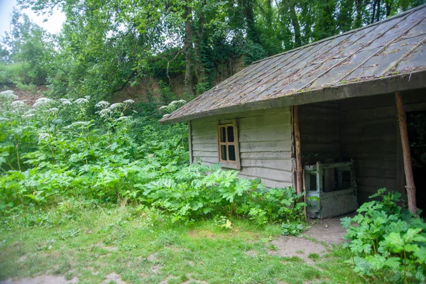 Wooden Village Old House Summer — Stock Photo, Image