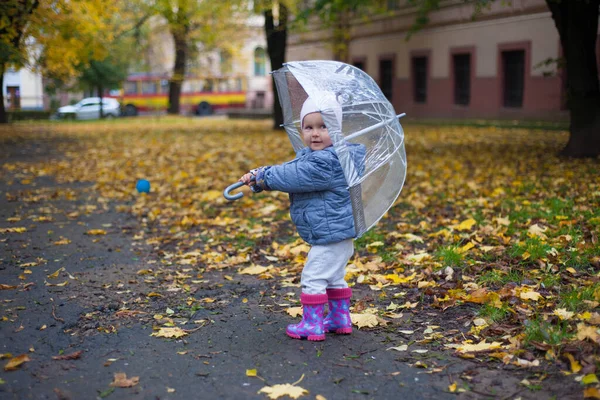 Toddler Girl Transparent Umbrella Background Fall Nature — Stock Photo, Image