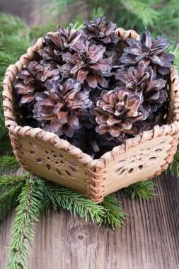 çam kozalakları üzerindeki ahşap arka plan ile sepeti