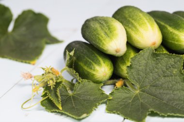 ahşap masa yapraklarda ile salatalık