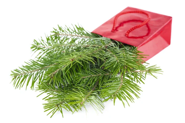 Spar-boom takjes in rode papieren-zak geïsoleerd op witte achtergrond — Stockfoto
