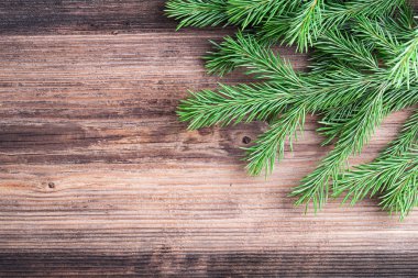 köknar ağacı dal eski ahşap tablo