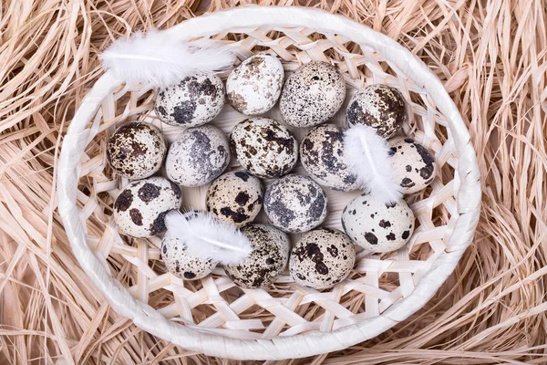 Quail eggs in a wattled basket with straw — Stock Photo, Image