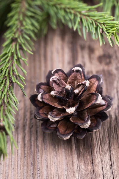 Fir tree branch with a cone on wooden table — Stock Photo, Image