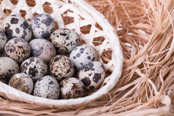 Ovos de codorna frescos em uma cesta — Fotografia de Stock
