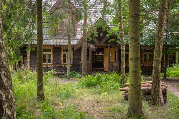 Altes Unbewohntes Haus Mitten Wald — Stockfoto