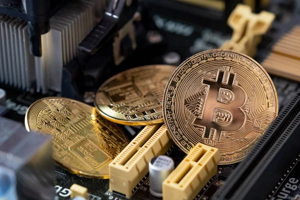 Bilgisayar panosundaki altın bitcoin 'ler. Ana kart arka planında şifreli para birimleri.
