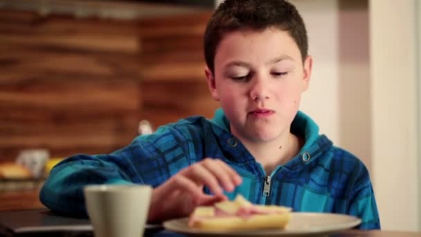 Boy eating sandwich and drinking tea — Stock Video