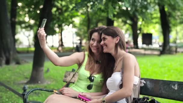Girlfriends taking photo — Stock Video