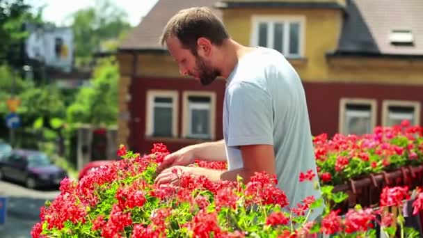 Mann kontrolliert Blumen auf Balkon — Stockvideo
