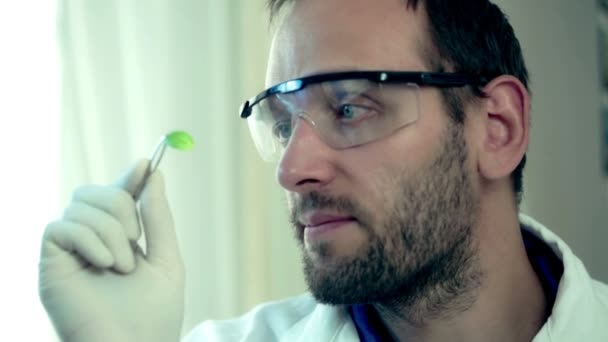 Scientist checking plant leaf — Stock Video