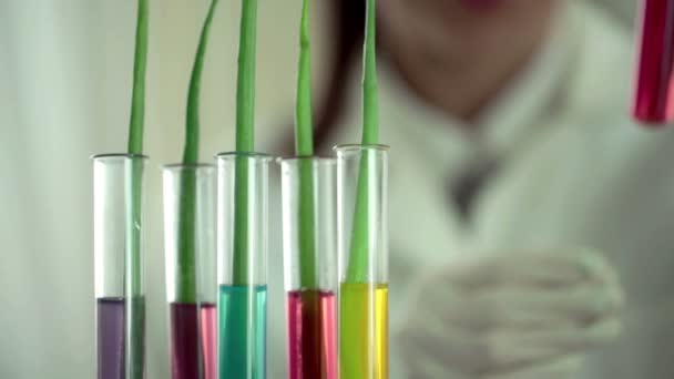 Biólogo examinar plantas em tubos de ensaio — Vídeo de Stock