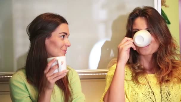 Jovens namoradas felizes na cozinha — Vídeo de Stock