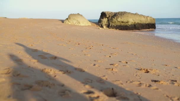 Mann und Frau joggen am Strand — Stockvideo