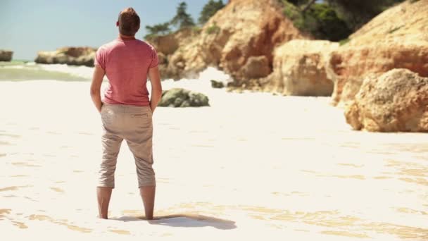Mężczyzna stojący na plaży — Wideo stockowe