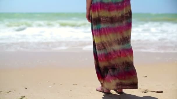 Femme debout sur la plage — Video