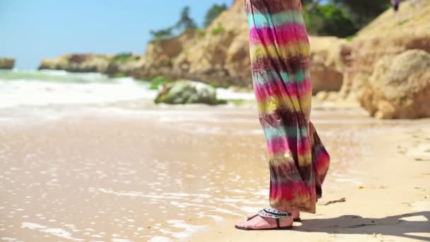 Γυναίκα στέκεται στην παραλία — Αρχείο Βίντεο