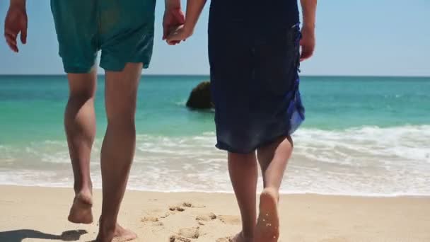 在海滩上散步的夫妻 — 图库视频影像