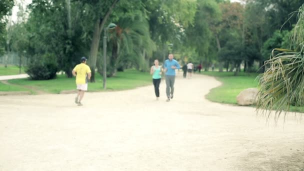 Movimiento lento de pareja trotando — Vídeo de stock