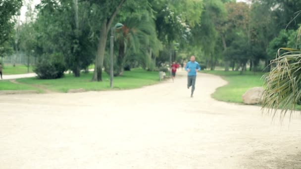 Lassú lövés az ember jogging — Stock videók