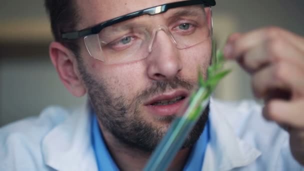 Biochemicus kijken naar plant — Stockvideo