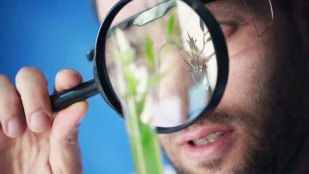 Biochemiker schaut durch Vergrößerungsglas — Stockvideo