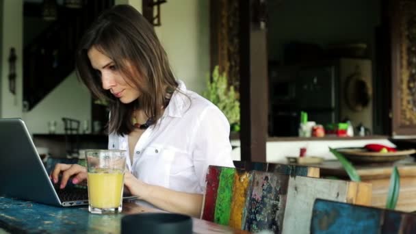 Mujer trabajando en el ordenador portátil — Vídeo de stock