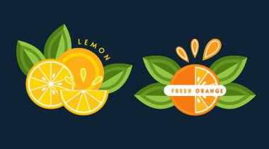 Set of emblems, badges with orange, lemon, green leaves, fruit slices. Good for decoration of food packaging, groceries, agriculture stores, advertising. Flat style