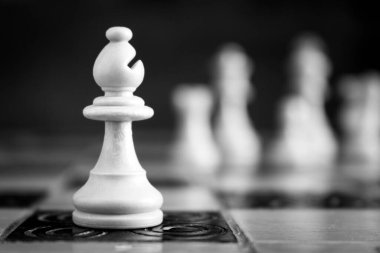 Satranç tahtasında fotoğraflanmış.