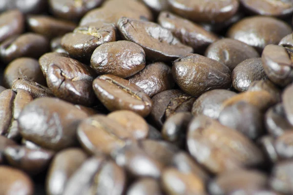 Macro of Coffee Beans III — Stock Photo, Image