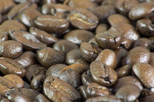 Macro de granos de café II — Foto de Stock