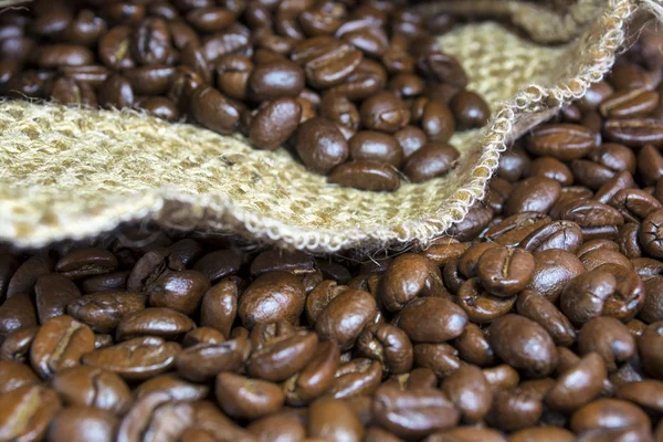 Kávová zrna uvnitř jeho jutové pytle ii — Stock fotografie