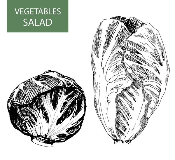 Salad - set of vector illustration — Stock Vector