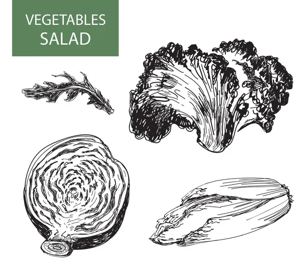 Salata - vektör illüstrasyonu seti — Stok Vektör