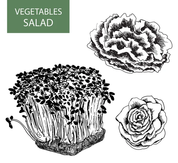 Salade - set vectorillustraties — Stockvector