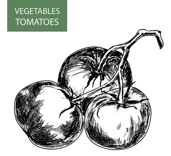 Tomates — Vetor de Stock