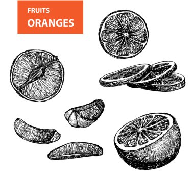 portakal - vektör çizim ayarla