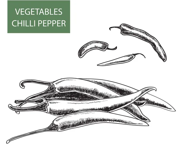 Peper — Stockvector