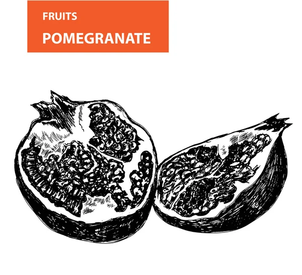 Pemagranate — ストックベクタ