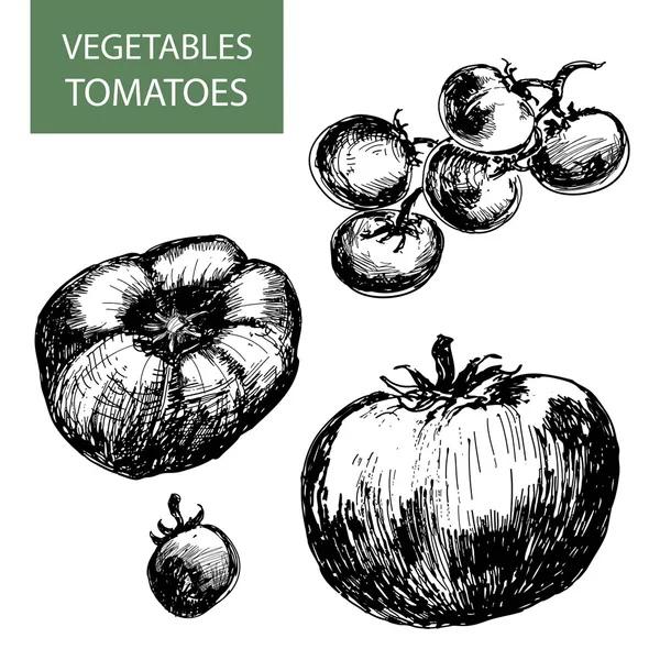 Tomates. — Image vectorielle