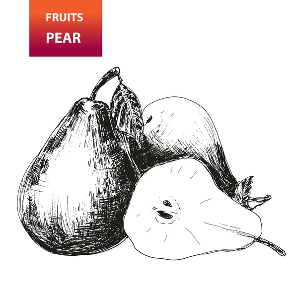Frutas. Peras — Vector de stock