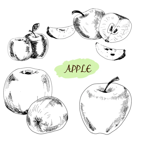 Яблука . — стоковий вектор
