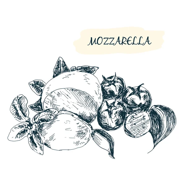 Mozzarella — Vettoriale Stock