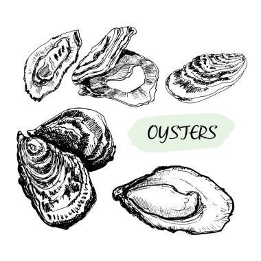 Oysters clipart