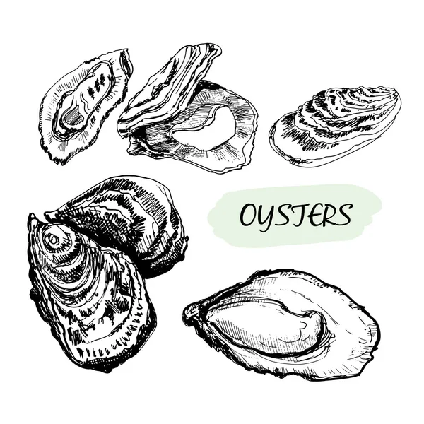 Oesters — Stockvector