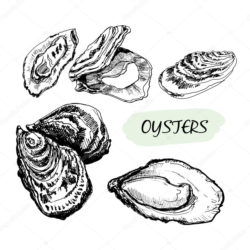 Oysters