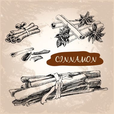 Tarçın illüstrasyon