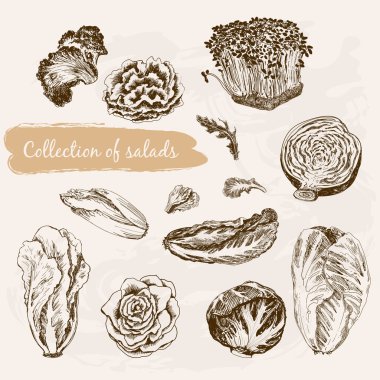 collectie van salades