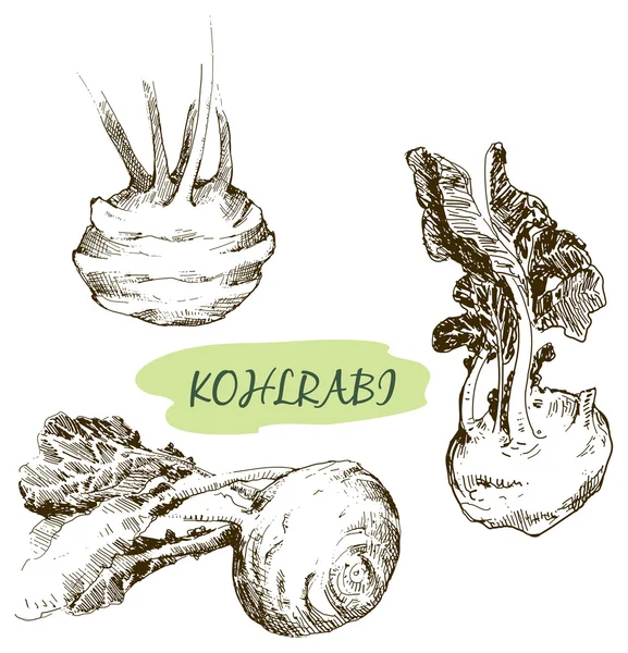 Ilustraciones de Kohlraby — Vector de stock